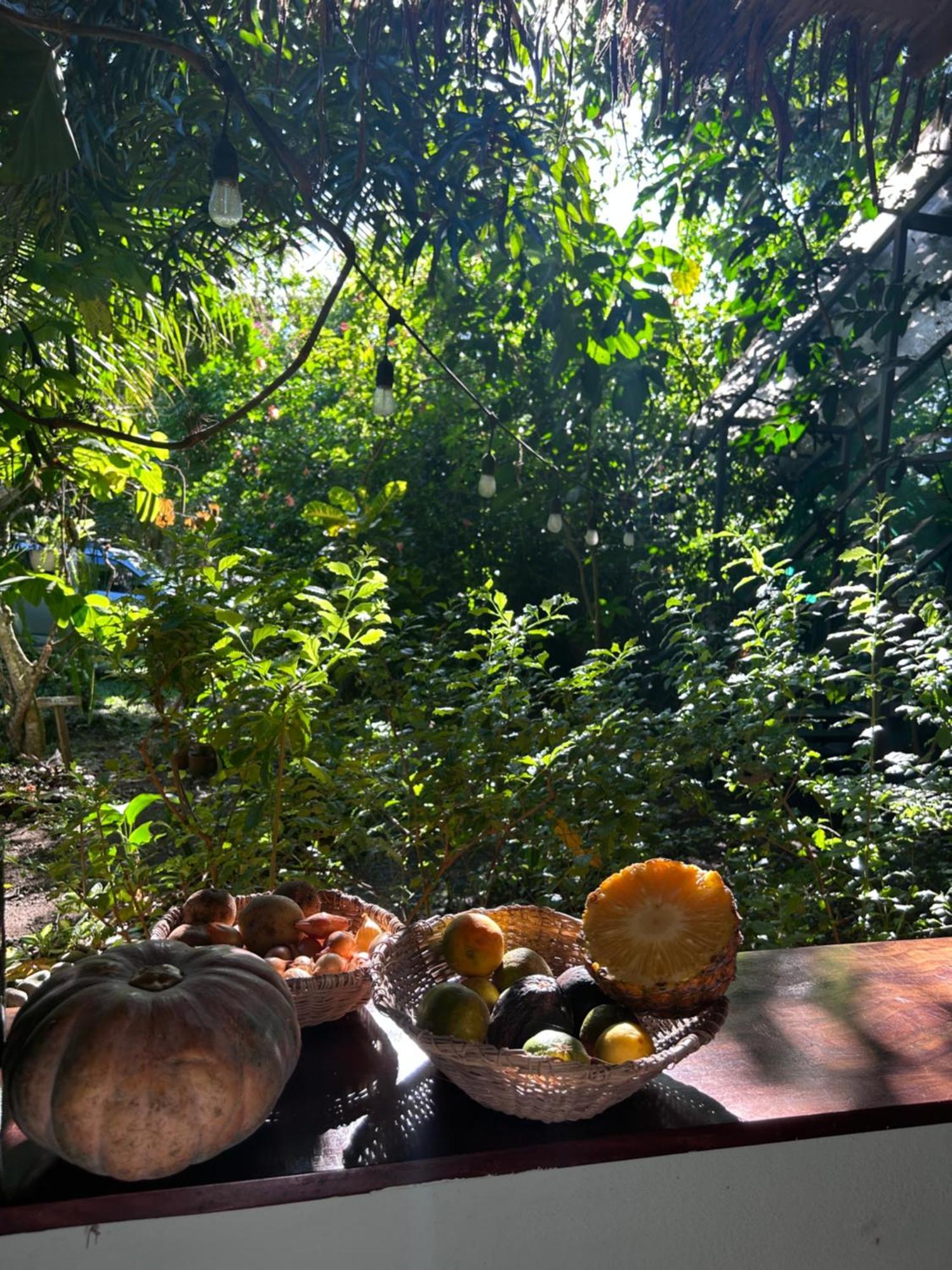 Organico Punta Riel Hotel Cahuita Kültér fotó