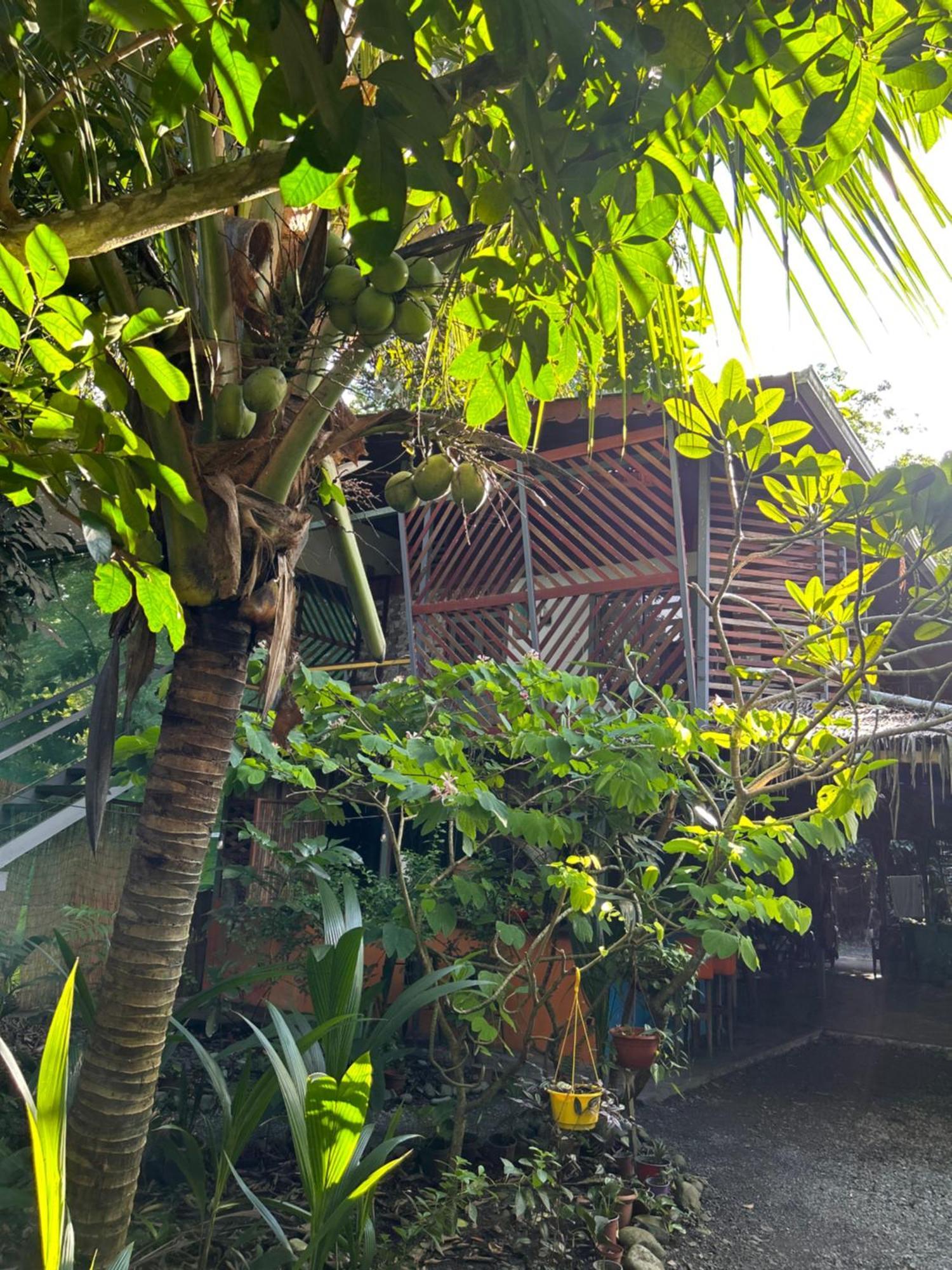 Organico Punta Riel Hotel Cahuita Kültér fotó