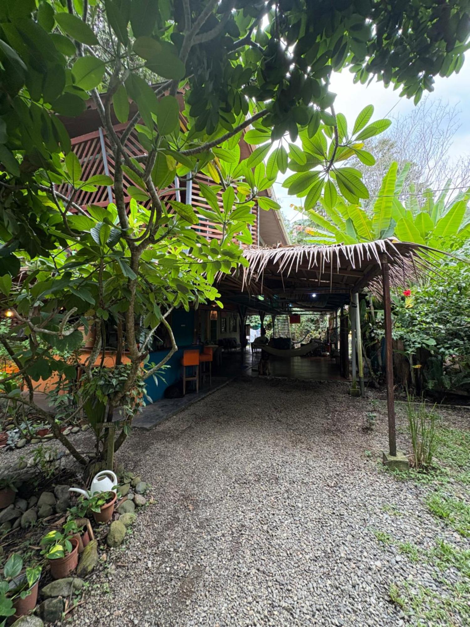 Organico Punta Riel Hotel Cahuita Kültér fotó