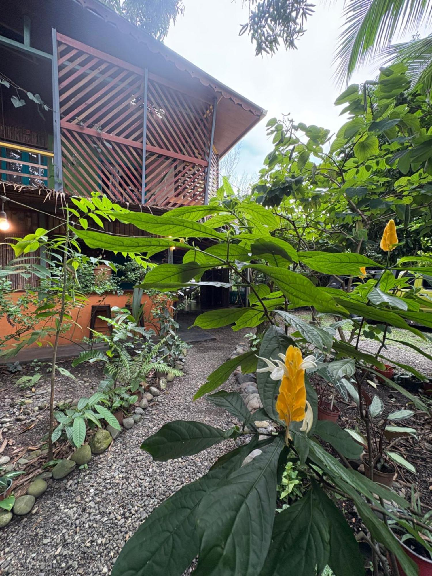 Organico Punta Riel Hotel Cahuita Kültér fotó