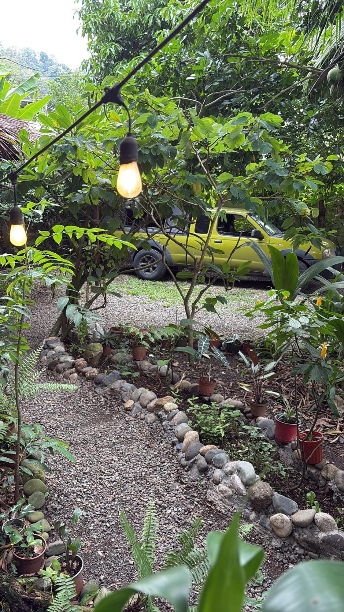 Organico Punta Riel Hotel Cahuita Kültér fotó