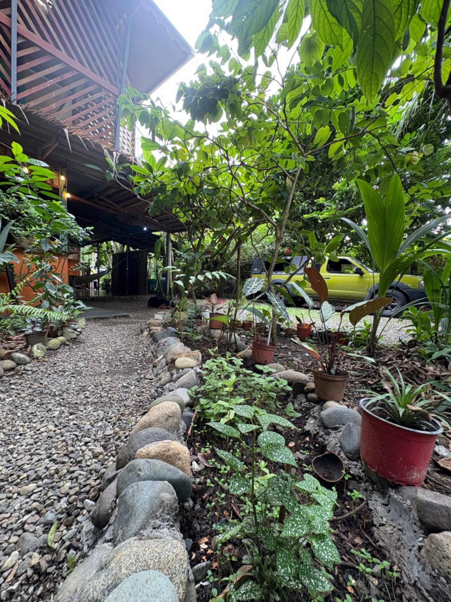 Organico Punta Riel Hotel Cahuita Kültér fotó