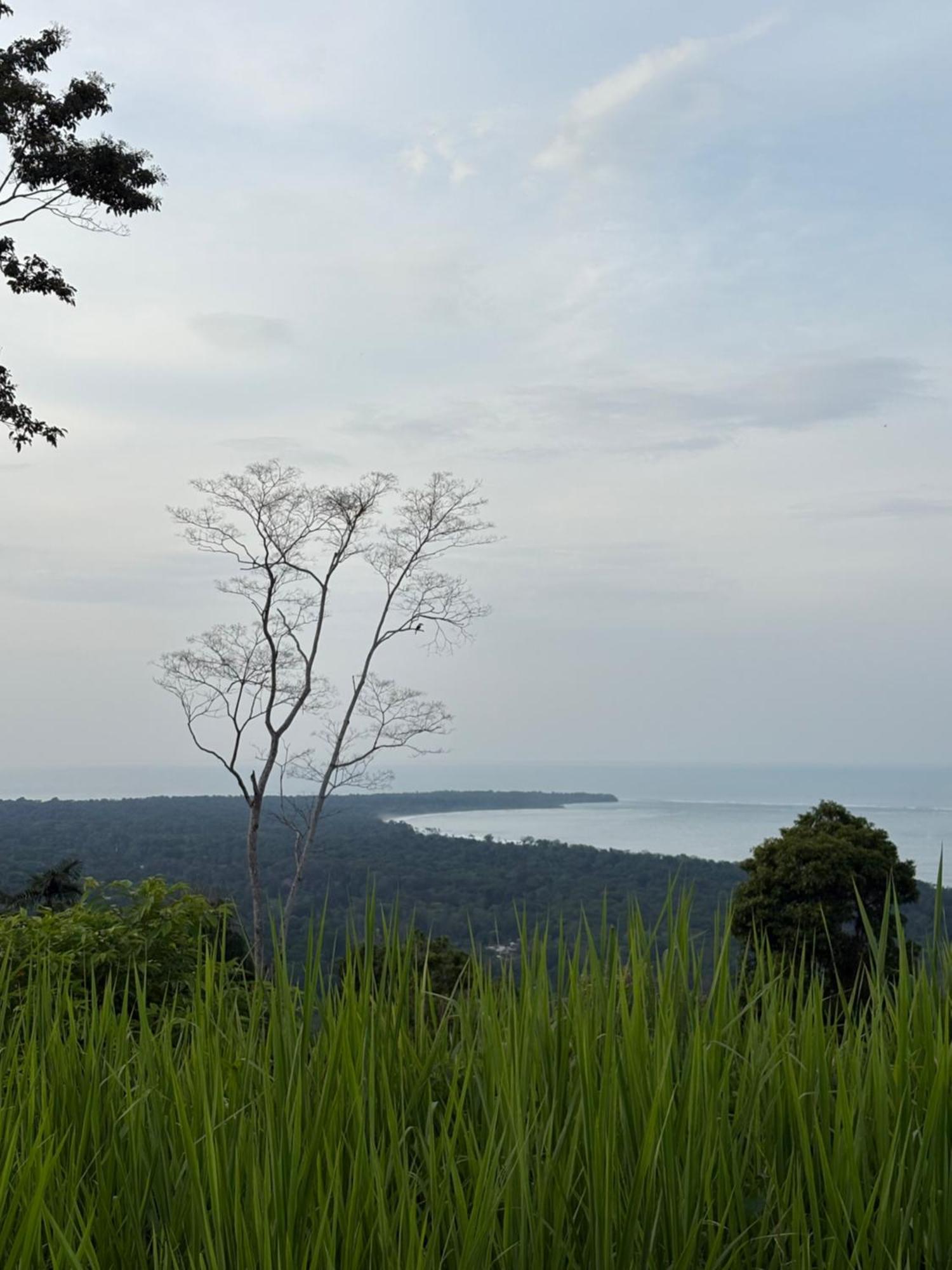 Organico Punta Riel Hotel Cahuita Kültér fotó